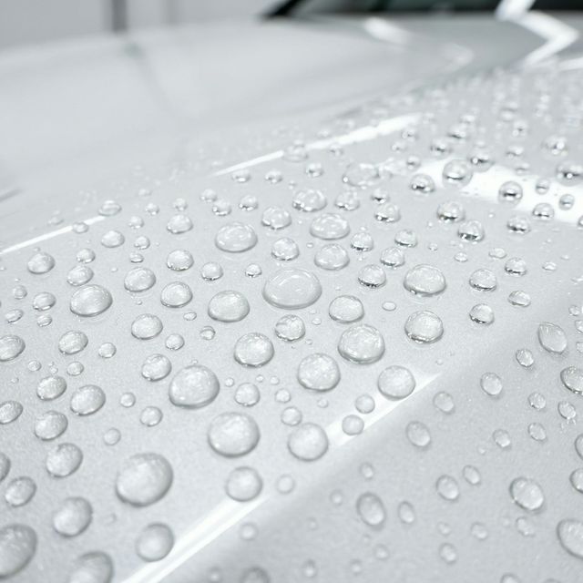 Ceramic Coating Water Beading