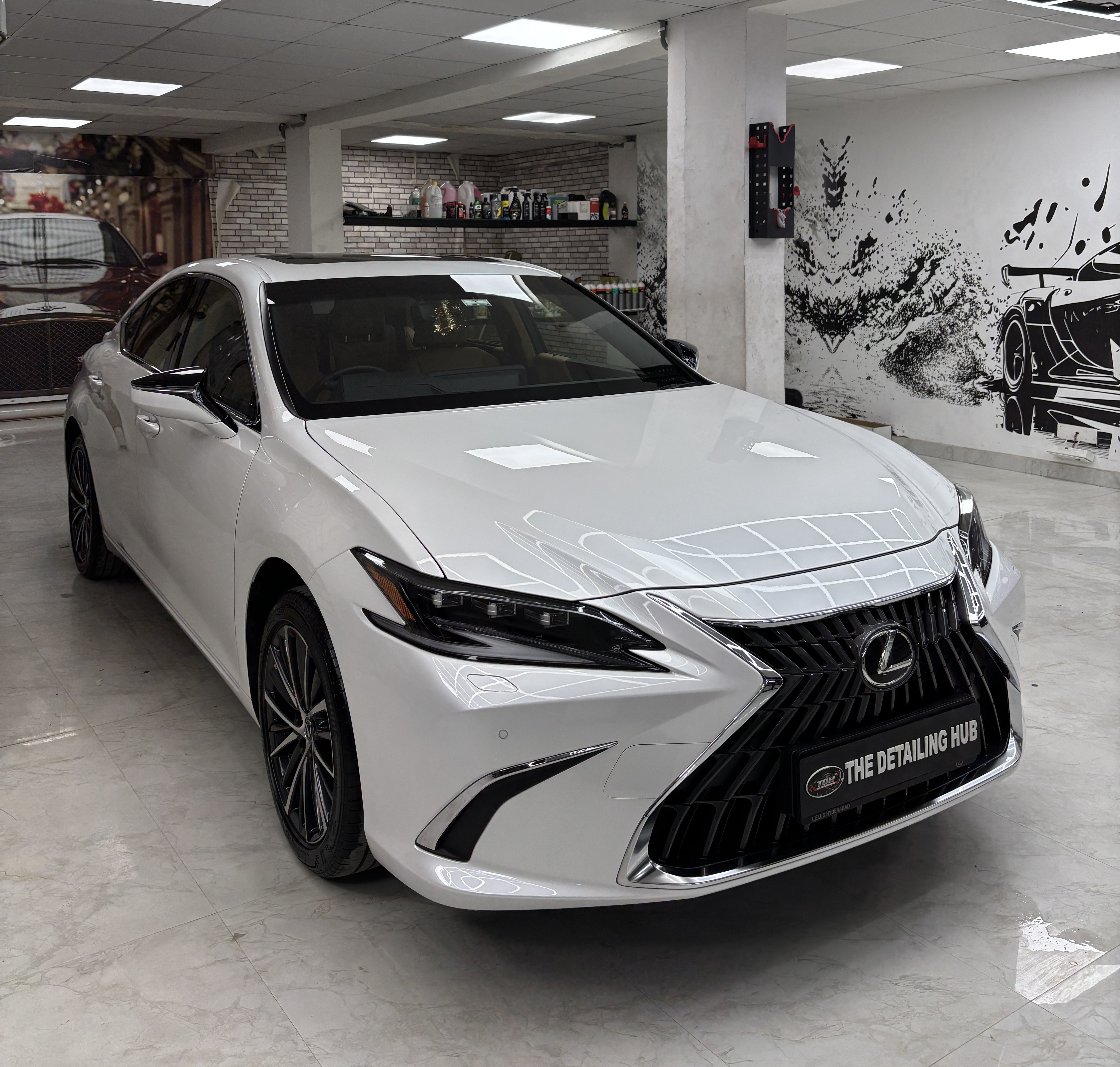 Paint Protection Film Application